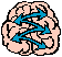 Brain connection
